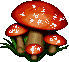 Ragoût de champignons 399548